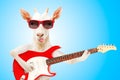 Funny goat in sunglasses with electric guitar Royalty Free Stock Photo