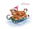 Funny goby on a sled