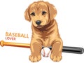 Funny golden retriever puppy are baseball lover