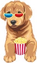 Funny golden retriever puppy are movie expert