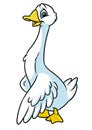 Funny goose animal character cartoon illustration