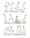 Funny goose set, sketch for your design Royalty Free Stock Photo