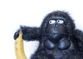 Funny gorilla with banana