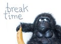 Funny gorilla with banana