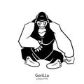 Funny gorilla