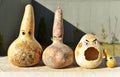 funny gourds on the wall different senses