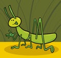 Funny grasshopper