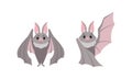 Funny Gray Bat with Cute Snout as Flying Night Creature with Spread Wings Vector Set