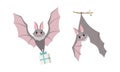 Funny Gray Bat with Cute Snout Flying with Gift Box and Hanging on Tree Branch Vector Set