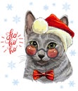 Funny gray cat in christmas hat vector illustration