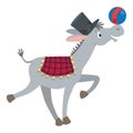 Funny gray donkey with ball