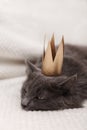 Funny gray fluffy cat is lying on the sofa with a golden crown on his head Royalty Free Stock Photo