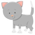 Funny gray kitten cartoon animal character