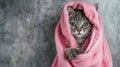 Funny gray tabby kitten with blue eyes smiles after bath, wrapped in pink towel, Ai Generated Royalty Free Stock Photo
