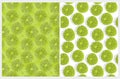 Funny Green, Black and White Geometric Seamless Vector Patterns. Royalty Free Stock Photo