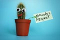 Funny cactus with sign Nobody is perfect