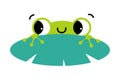 Funny Green Frog with Protruding Eyes Peeping Out from Leaf Vector Illustration Royalty Free Stock Photo