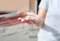 Funny green grasshopper sitting on the hand taking Royalty Free Stock Photo
