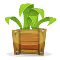 Funny Green Plant In Wood Bucket