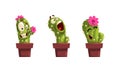 Funny Green Potted Blooming Cactus with Different Emotions Set, Cute Emojis Plant Characters Cartoon Vector Illustration