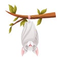 Funny Grey Bat with Cute Snout Hanging Upside Down on Tree Branch and Sleeping Vector Illustration