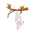 Funny Grey Bat with Cute Snout Hanging Upside Down on Tree Branch and Sleeping Vector Illustration