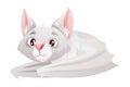 Funny Grey Bat with Cute Snout and Pointed Ears Sitting with Closed Wings Vector Illustration