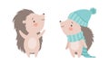 Funny Grey Hedgehog Wearing Warm Knitted Scarf and Hat Standing Vector Set