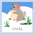 Funny groundhog waking up from winter sleep, spring greeting card, cartoon flat vector illustration.