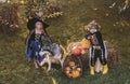 Funny group of friends children in a Halloween costume on Halloween party. Happy children with skeleton and witch Royalty Free Stock Photo