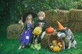 Funny group of friends children in a Halloween costume on Halloween party. Happy Halloween, cute toddler girl and boy Royalty Free Stock Photo