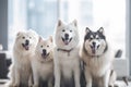funny group of smiling little dogs looking at camera. Ai generated