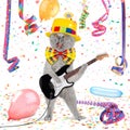 Funny guitar cat Royalty Free Stock Photo