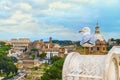 Funny gull sits on a parapet of the Altar of the Fatherland on the background ( blurred ) of the Roman Colosseum