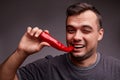 Funny guy eating red chili pepper on a gray background. Handsome man with spicy, hot pepper. Spiciness concept. Royalty Free Stock Photo