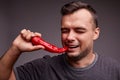 Funny guy eating red chili pepper on a gray background. Handsome man with spicy, hot pepper. Spiciness concept. Royalty Free Stock Photo