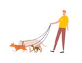 Funny guy holding pack of dogs on leash vector flat illustration. Male volunteer dog sitter walking with pets outdoor Royalty Free Stock Photo
