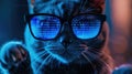 Funny hacker cat works at computer in dark room, cyber data reflected in glasses. Concept of spy, ransomware, technology, hack,