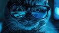 Funny hacker cat works at computer in dark room, digital data reflected in glasses. Concept of spy, ransomware, technology, hack, Royalty Free Stock Photo