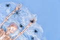 Funny halloween background with cobweb, spiders and golden skeleton over blue with copy space Royalty Free Stock Photo