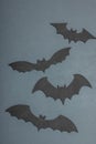 Funny Halloween background. Cute black little bats. Traditional festive symbol, flat lay
