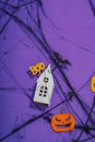 Funny Halloween background. Scary spider web, traditional fall pumpkins, house, bats and spiders Royalty Free Stock Photo