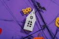 Funny Halloween background. Scary spider web, traditional fall pumpkins, house, bats and spiders Royalty Free Stock Photo