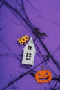 Funny Halloween background. Scary spider web, traditional fall pumpkins, house, bats and spiders Royalty Free Stock Photo