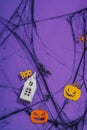 Funny Halloween background. Scary spider web, traditional fall pumpkins, house, bats and spiders Royalty Free Stock Photo