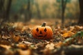 Funny Halloween pumpkin in a autumn forest. Celebration, holiday concept Royalty Free Stock Photo