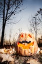 Funny halloween pumpkin in the forest Royalty Free Stock Photo