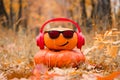 Funny Halloween. Pumpkin in sunglasses in the autumn Park.