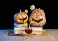 Funny Halloween pumpkins drinking wine