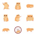 Funny hamster icon set, cartoon style